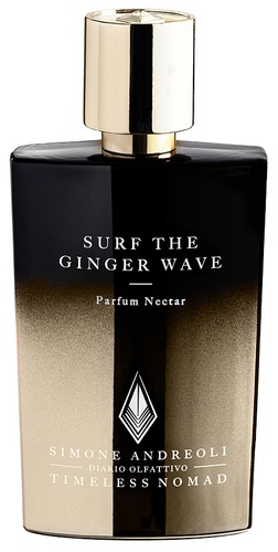SIMONE ANDREOLI SURF THE GINGER WAVE