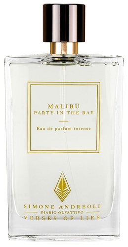 SIMONE ANDREOLI MALIBU' Party in the bay