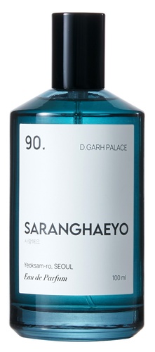 SARANGHAEYO 90. D.GARH PALACE