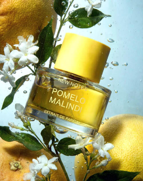NEW NOTES Pomelo Malindi