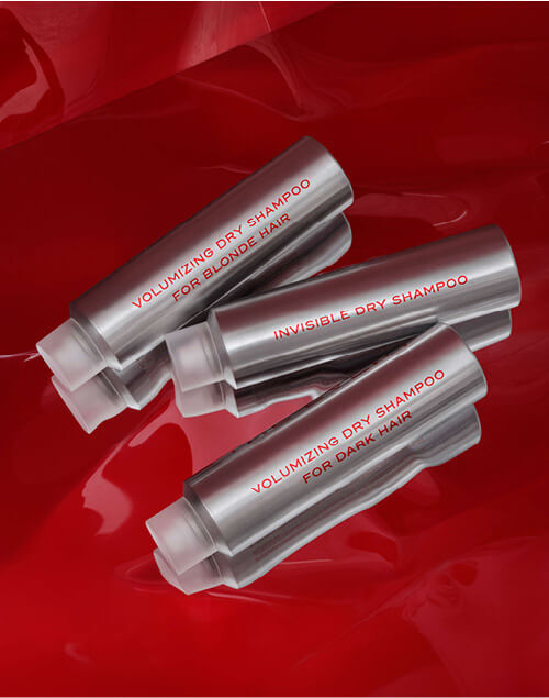 THE EVERY Volumizing Dry Shampoo