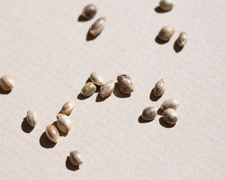 Ingredient Glossary