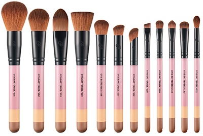 OTIS BATTERBEE 12 PIECE BRUSH SET