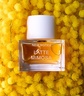 NEW NOTES Latte Mimosa