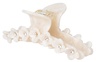 SUI AVA Bright Flower Clip