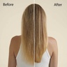 Kat Burki BIO-FERMENT RENEWING CONDITIONER