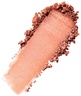 By Terry Tea to Tan Blush Powder 1.Rosy Romance