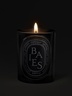 Diptyque Baies Classic Candle 190g