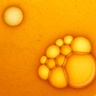 Olistic Olistic Next