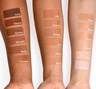 PIXI H2O Skintint Chestnut