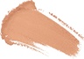 bareMinerals Mineral Veil Tinted