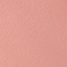 NARS Blush ORGASM