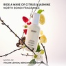 Ouai LEAVE IN CONDITIONER - NORTH BONDI 45 ml