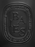 Diptyque Candle Baies 600g