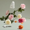 Penhaligon's The Coveted Duchess Rose 10ml