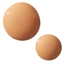 Oio Lab Holitint Holistic Skin Tint Light