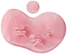 Molton Brown Rose Dunes Bath & Shower Gel