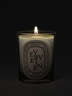 Diptyque Verveine Classic Candle 190g