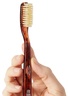 C.O. Bigelow Natural Bristle Toothbrush, Tortoise Medium Bristle