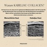 Proceanis Arctic Marine Collagen Powder