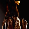 Maison Crivelli Oud Stallion