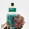 BON PARFUMEUR 601 vetiver, cedar, bergamot 30 ml