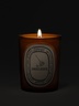 Diptyque Odor-removing Classic Candle