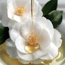 Leonor Greyl Huile de Magnolia