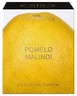 NEW NOTES Pomelo Malindi