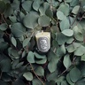 Diptyque Eucalyptus Classic Candle