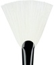RAE MORRIS #25 Fan Highlighter