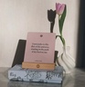Intelligent Change Mindful Affirmations for Chakra Balancing