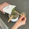 Onegevity Just Matcha