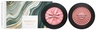 bareMinerals Way To Glow GEN NUDE® Cheek Duo