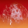 DRIES VAN NOTEN Liquid Soap Pepper & Rose 360 ml