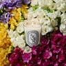 Diptyque Freesia Classic Candle 190g