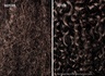 Oribe Hair Alchemy Bond Building Elixir