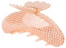 SUI AVA Helle Clarity Biggest - Peach