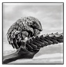 Chantecaille Luminescent Eye Shades Pangolin