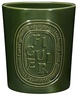 Diptyque Figuier (Fig Tree) Candle