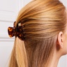 By Eloise Hair ClawTortoise Medium
