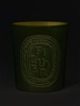 Diptyque Figuier (Fig Tree) Candle