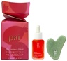 Pai Skincare The Radiance Ritual Set