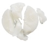 Malin + Goetz Eucalyptus Deodorant 73 g
