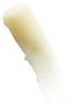 Caudalie Lip Conditioner