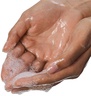 JOONBYRD PALM WILD HAND WASH 500ml REFILL