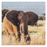 Chantecaille Philanthropy Cheek Shades (in Pebble) Smitten + Elephant