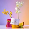 Ouai SCALP AND BODY SCRUB - ST BARTS 96,4 g