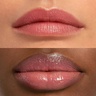 Chantecaille Lip Sheer Gossamer