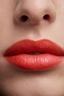 LONI BAUR LIP 17 - Pome Granate 17 - Pome Granate